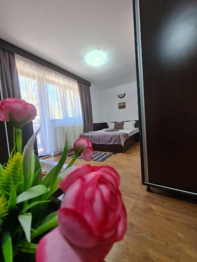 Casa Teleferic Hotel Buşteni Exterior foto